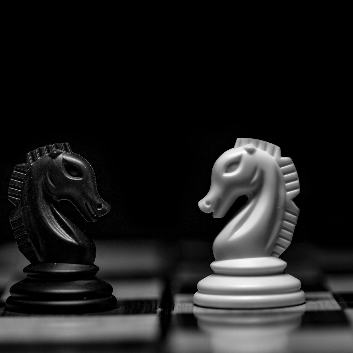 Deux cavaliers d’échecs, un noir et un blanc, face à face.